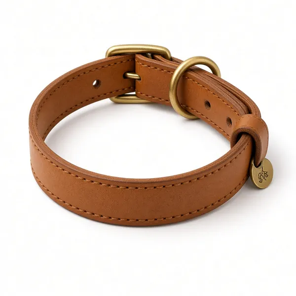 The same leather dog collar as a plain white background packshot